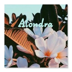 Meet your Posher, Alondra